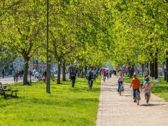 Парк Маяковского в Екатеринбурге: как провести день с пользой и удовольствием
